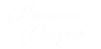 Primavera Vineyard